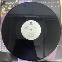 แผ่นเสียง Pamela Nightingale - I'll Never Fall In Love Again Vinyl VG+