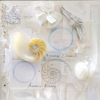 Acoustic Alchemy - Natural Elements CD NM or M-
