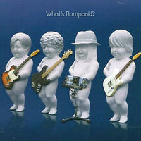 ซีดี Flumpool - What's Flumpool CD VG+