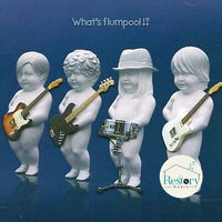ซีดี Flumpool - What's Flumpool CD VG+