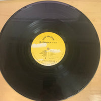 แผ่นเสียง Kosetsu Minami - Good Vibration / Mr. Kohsetsu In 武道館 Vinyl NM or M-