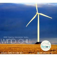 ซีดี Various - Wind Chill Wood Wind In The Sky CD VG+