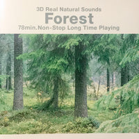 Unknown Artist - 3D Real Natural Sounds Forest : 3Dリアル自然音「森の静けさ」 CD VG+