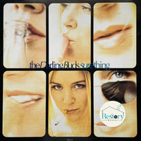 The Darling Buds : Sure Thing (12")