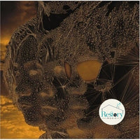 ซีดี L'Arc~en~Ciel - Ray CD NM or M-