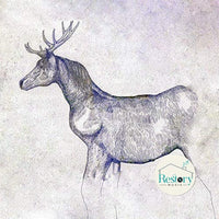 ซีดี Kenshi Yonezu - 馬と鹿 CD M