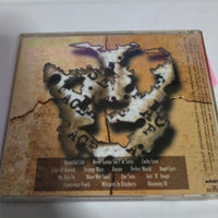 ซีดี Ace Of Base - The Bridge CD VG