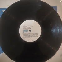 แผ่นเสียง The Shrink - Are You Ready To Party? Vinyl VG+