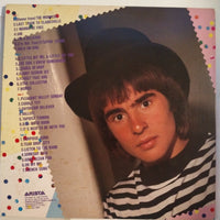 แผ่นเสียง The Monkees - Golden Story Vinyl VG+ 2 LPs