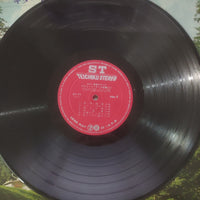 แผ่นเสียง Various - Guitar Music Album Vinyl G 2LPs