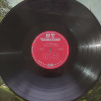 แผ่นเสียง Various - Guitar Music Album Vinyl G 2LPs