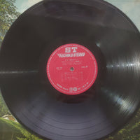 แผ่นเสียง Various - Guitar Music Album Vinyl G 2LPs