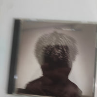 ซีดี Chaka Khan - The Woman I Am CD VG+