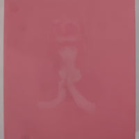 ซีดี Shiina Ringo - 勝訴ストリップ CD VG+