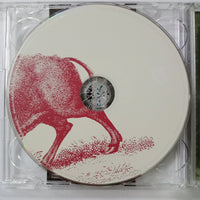 ซีดี Foo Fighters - In Your Honour CD VG+