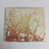 ซีดี Ryuichi Kawamura - Love CD VG+