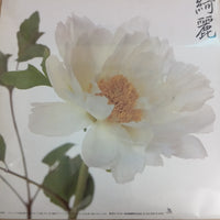 แผ่นเสียง Southern All Stars - 綺麗 Vinyl VG+