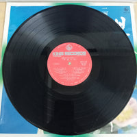 แผ่นเสียง 二葉百合子 - 岸壁の母 - 日本の母をうたう Vinyl VG+