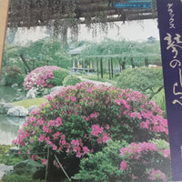 แผ่นเสียง Toshiko Yonekawa, Chikatoyo Tsujimoto - デラックス 琴のしらべ Vinyl VG+