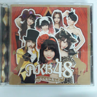 ซีดี AKB48 - ここにいたこと CD VG+ 2CDs