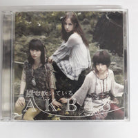 ซีดี AKB48 - 風は吹いている CD VG+ 2CDs