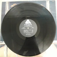 แผ่นเสียง Eric Carmen - Boats Against The Current Vinyl VG+