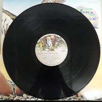 แผ่นเสียง Music From Free Creek - Music From Free Creek Vinyl VG+ 2LPs