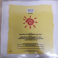แผ่นเสียง Eddy Grant - Walking On Sunshine Vinyl VG