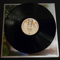 แผ่นเสียง Carpenters - Horizon Vinyl VG+