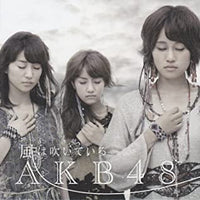 ซีดี AKB48 - 風は吹いている 劇場盤 CD VG+