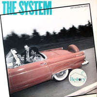 The System : Don't Disturb This Groove (LP, Album)