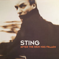 Sting : After The Rain Has Fallen (12", Maxi)