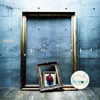 ซีดี vistlip - Overture CD VG+ 1CD 1DVD