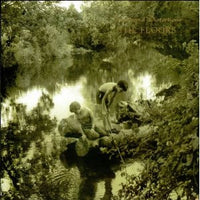 The Floors : Truths And Distortions (LP, Album)