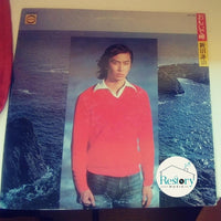 Kenji Niinuma : おもいで岬 (LP, Album)