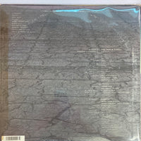 แผ่นเสียง Toshitaro - Chic Vinyl G+