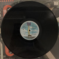 แผ่นเสียง Suzi Quatro - The Suzi Quatro Story - Golden Hits Vinyl VG+