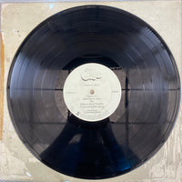 แผ่นเสียง Chicago - At Carnegie Hall Vinyl VG+