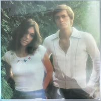 แผ่นเสียง Carpenters - Horizon Vinyl VG+