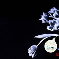 ซีดี TRF - Unite CD VG+