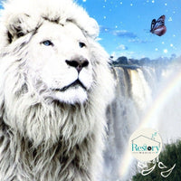 ซีดี Jinn - Raion CD VG+