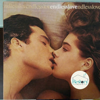 Various : Endless Love (LP, Comp)