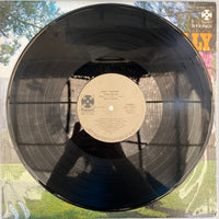 แผ่นเสียง Billy Vaughn And His Orchestra - 豪華版 ビリー・ヴォーン大全集 2LP Vinyl VG+
