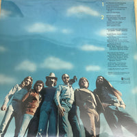 แผ่นเสียง The Amazing Rhythm Aces - Toucan Do It Too Vinyl VG+