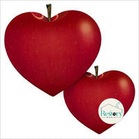 ซีดี Yo Hitoto - Ai No Uta 2 CD VG