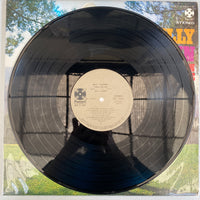 แผ่นเสียง Billy Vaughn And His Orchestra - 豪華版 ビリー・ヴォーン大全集 2LP Vinyl VG+