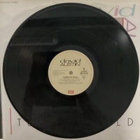 แผ่นเสียง David Austin - Turn To Gold Vinyl VG+