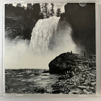 ซีดี The Presidents Of The United States Of America - II CD NM