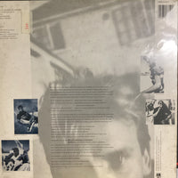 แผ่นเสียง Sting - The Dream Of The Blue Turtles Vinyl VG+