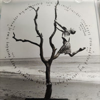 ซีดี Qkumba Zoo - Wake Up & Dream CD VG+